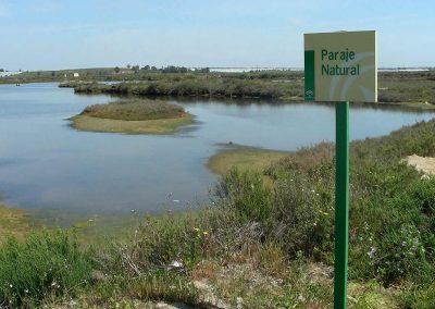 Marismas de Isla Cristina