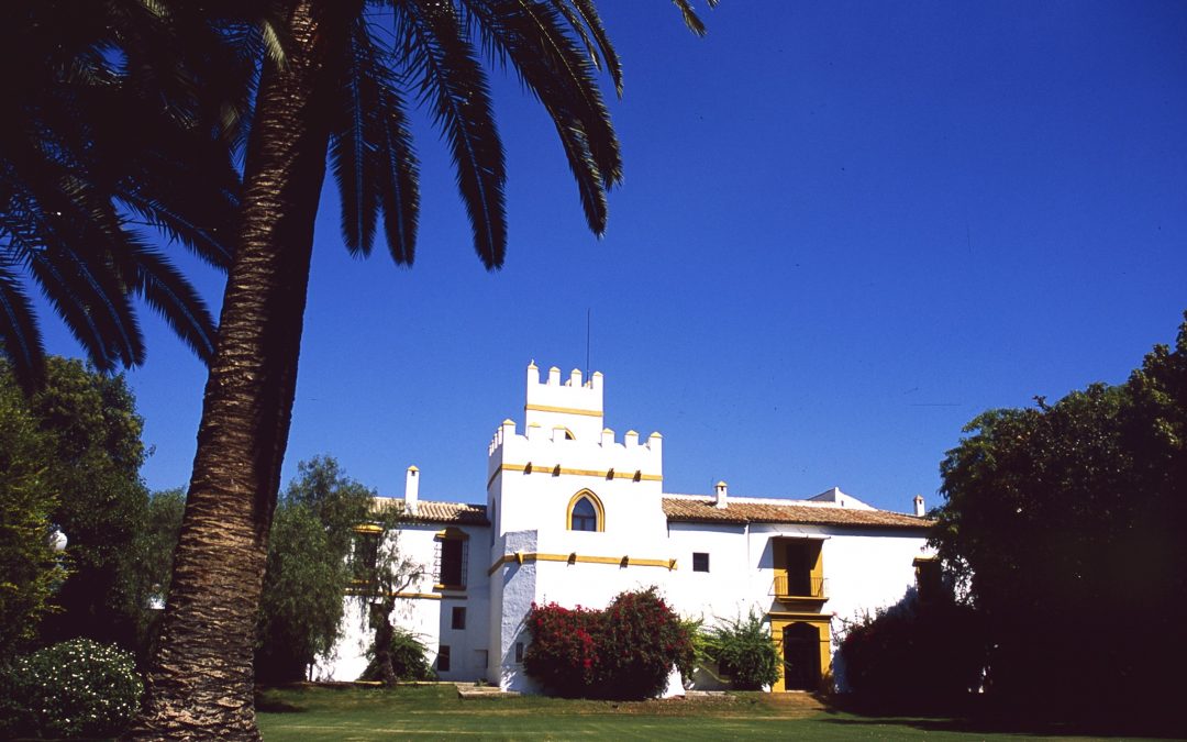 Cortijo Torre de la Reina