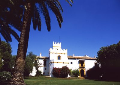 Cortijo Torre de la Reina