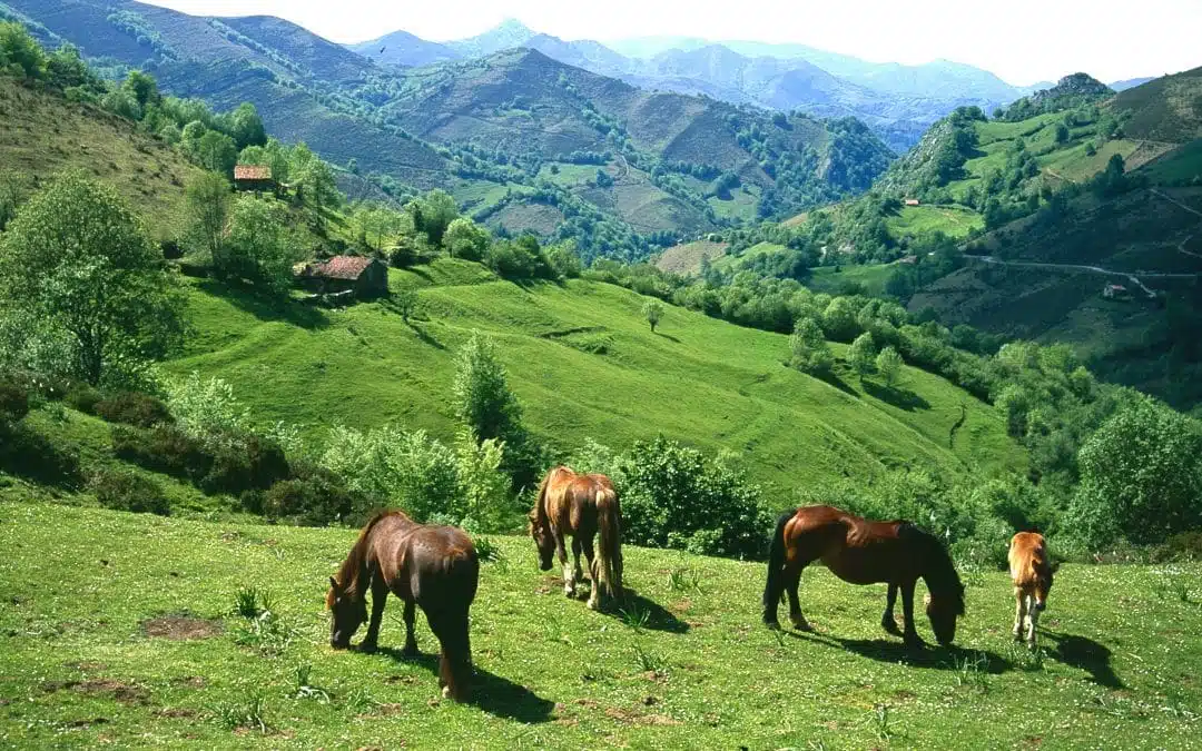 Parque Natural de Redes