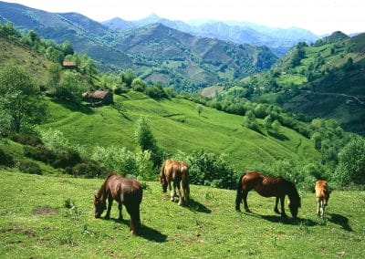 Parque Natural de Redes