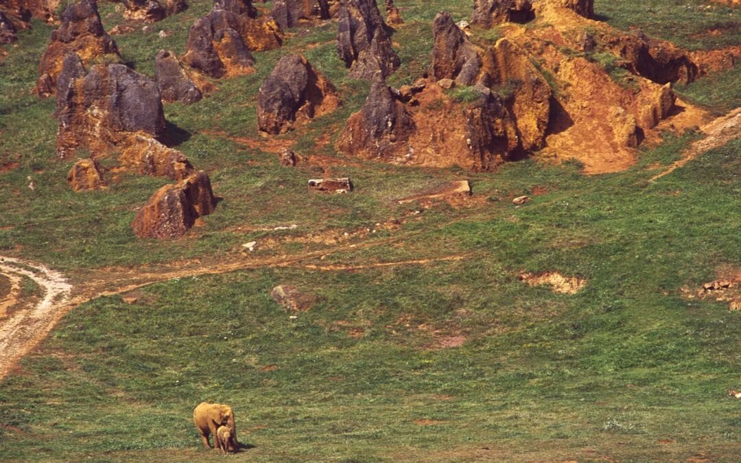 Parque Natural de Cabárceno