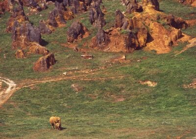 Parque Natural de Cabárceno