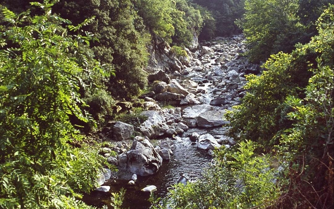 Desfiladero de la Hermida