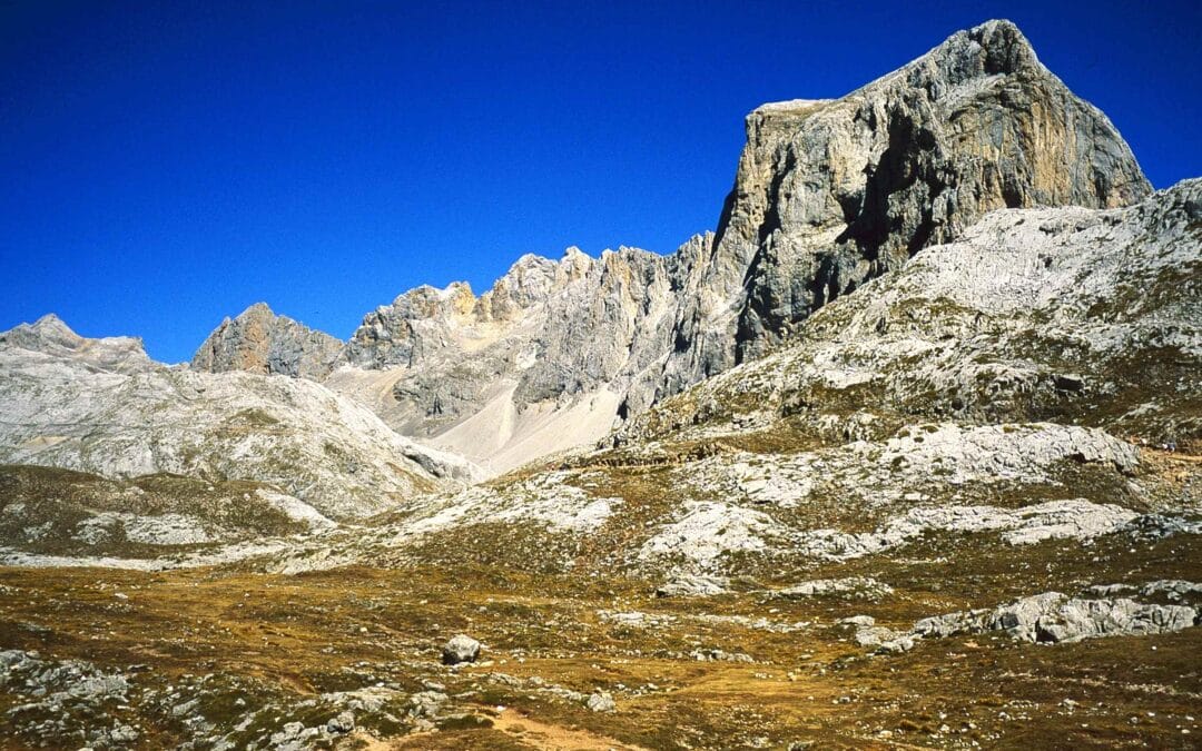 Picos de Europa