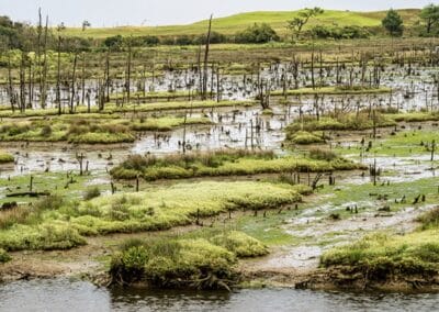 Parque Natural de Oyambre