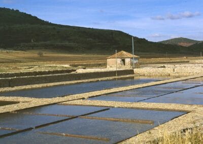 Salinas de Imón