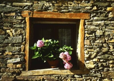 Valverde de los Arroyos