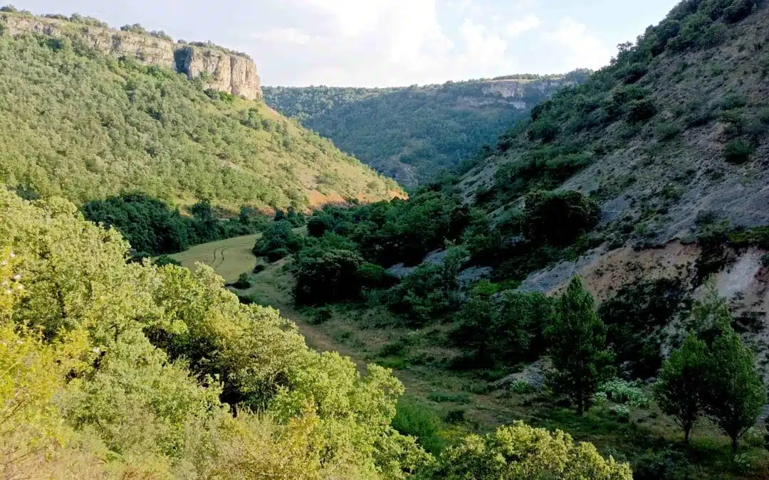 Cañones del Rudrón