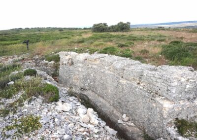 El Paredón de la Muerte