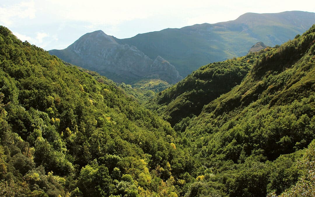 El Valle del Silencio