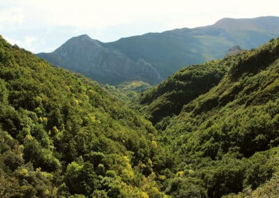 El Valle del Silencio